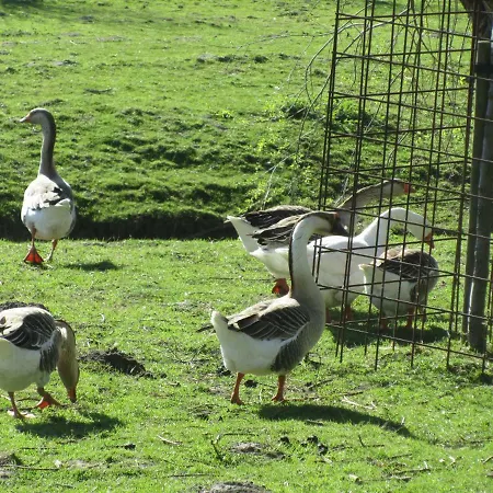 Vandenstampershoek *